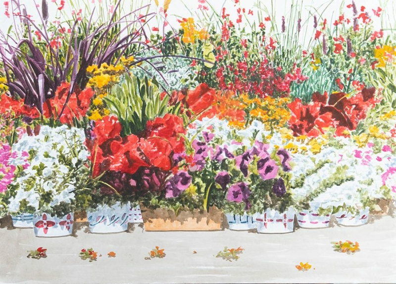 JARDIN II