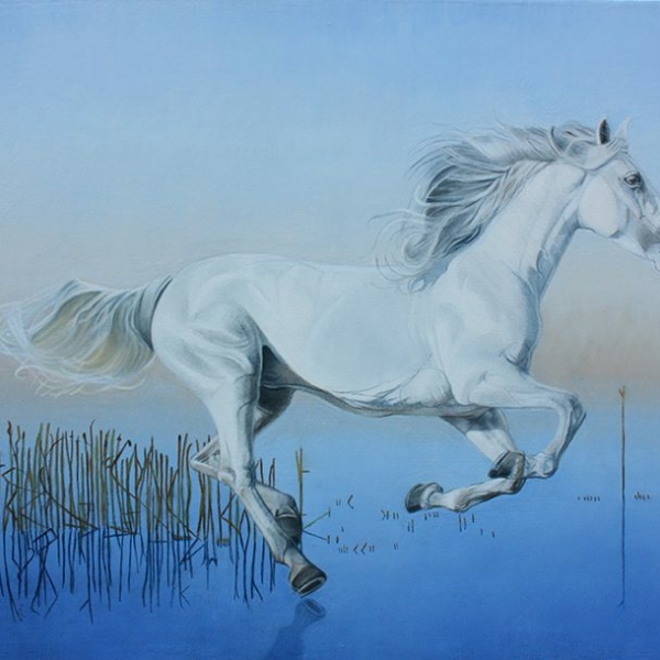 Caballo blanco
