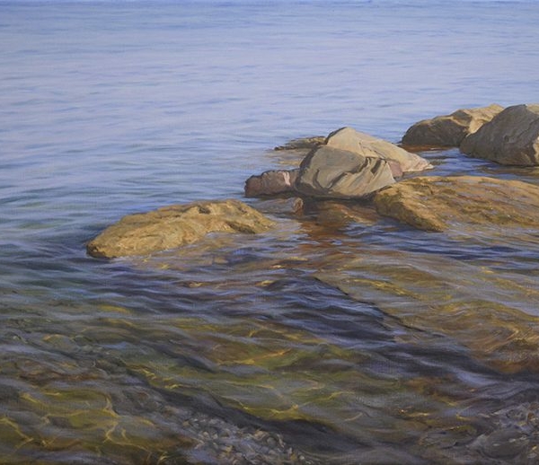 Rocas en la orilla