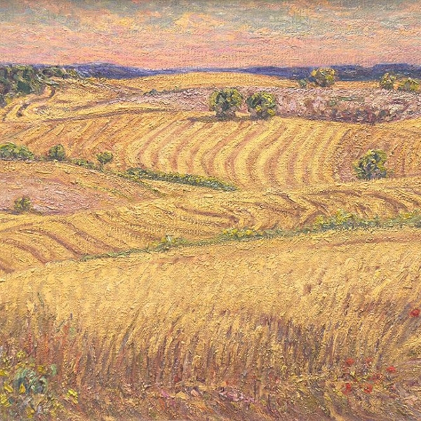 Campos amarillos