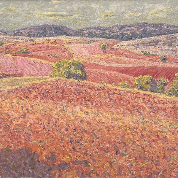 Campos de Angón 3