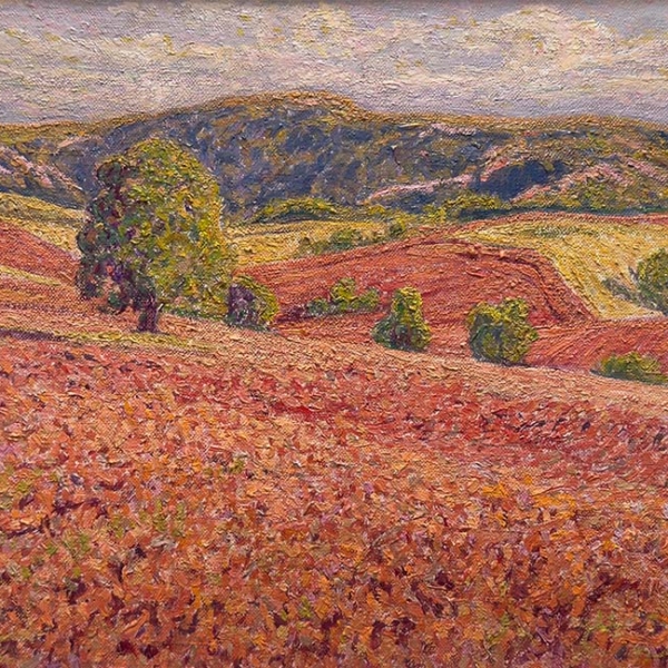 Campos rojos