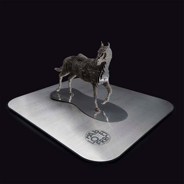 Solitario - Imagen 3