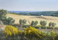 Paisaje de verano