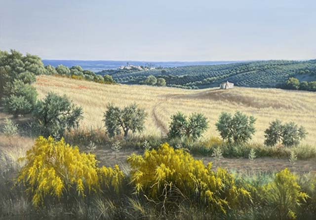 Paisaje de verano