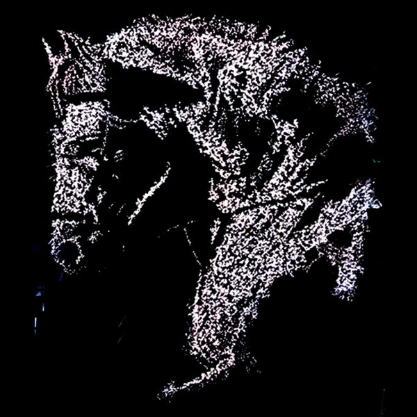 Caballo
