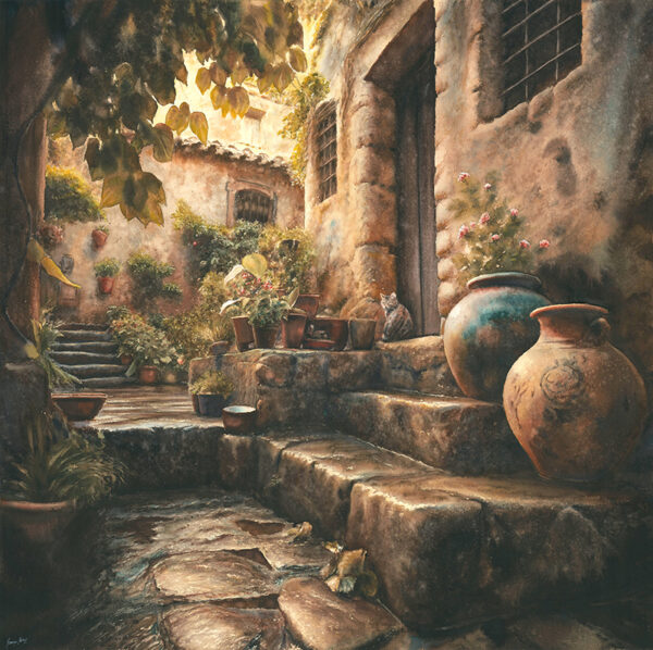 Aguacero de verano