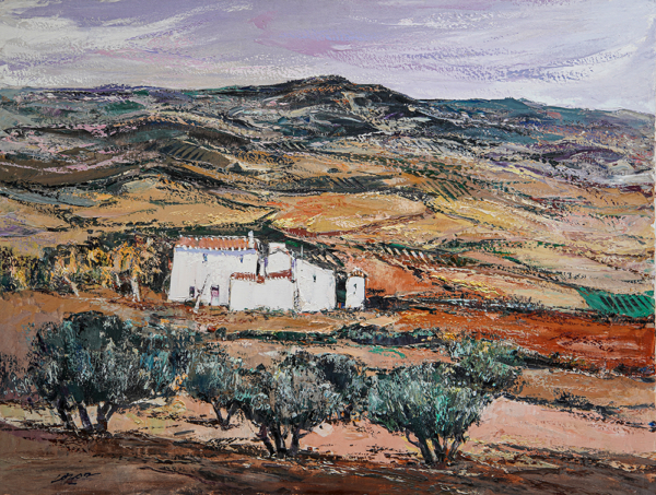 Campos, Olivos y Cortijos