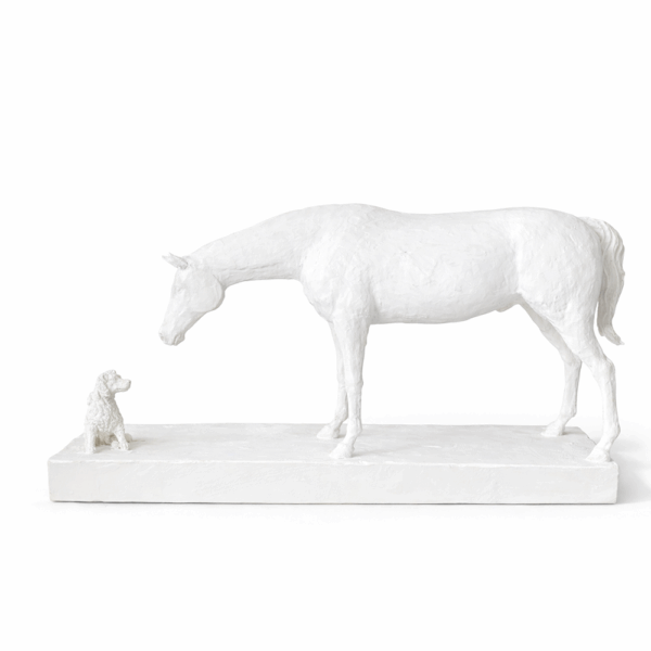 Jacks and the Stallion